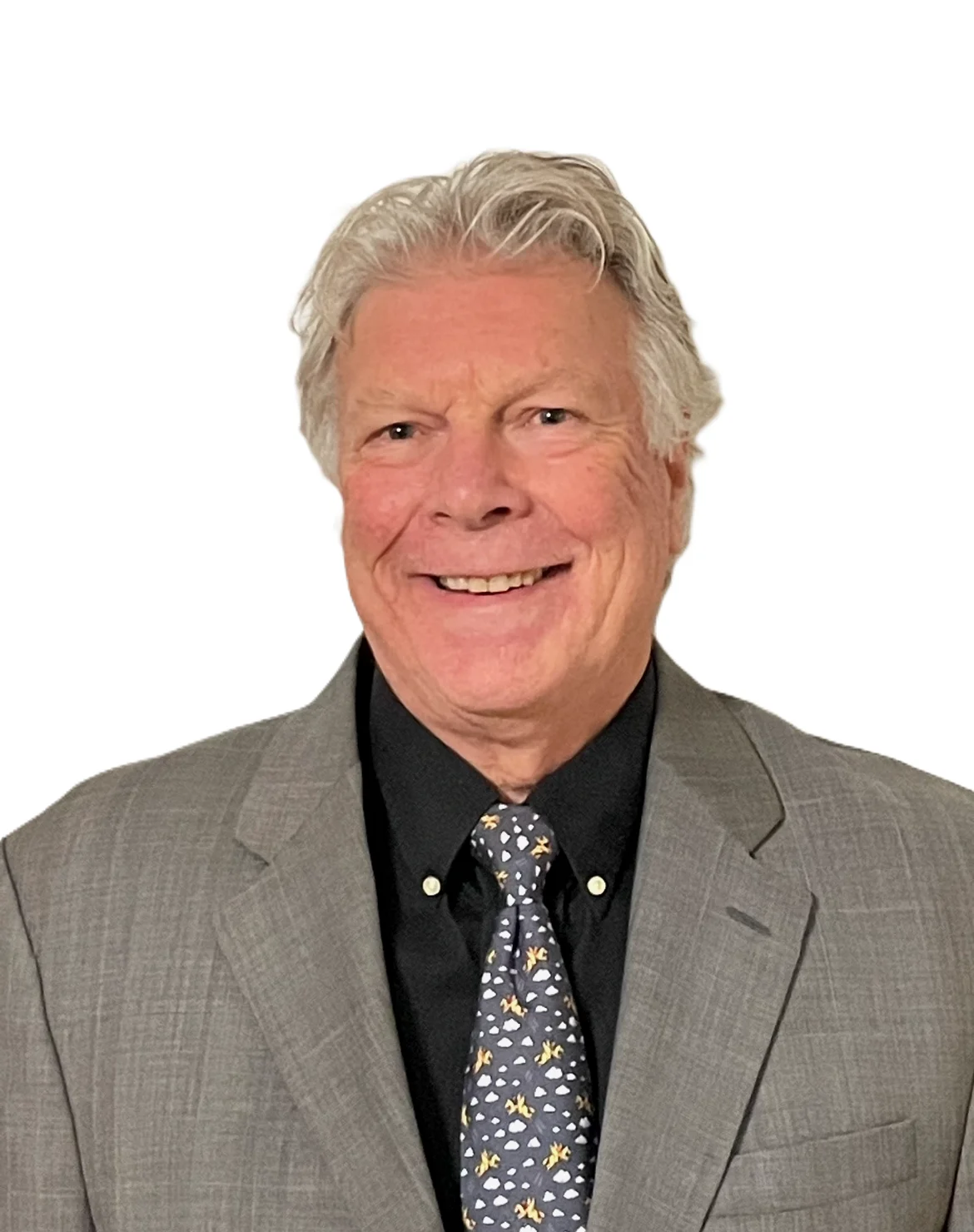 Anthony N. Iannarelli Jr.